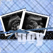 Introducing…..