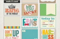 sclingerman-mixnmatch-journals3-preview