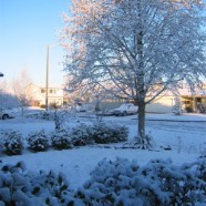 SNOW!
